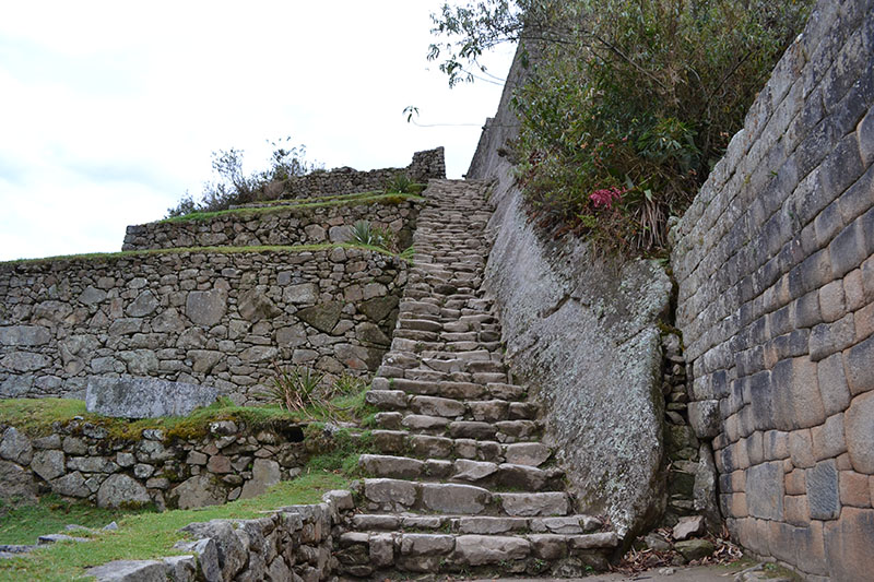 Imagen 6